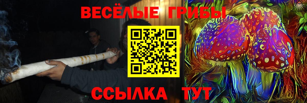 Баксан  Галлюциногенные грибы Psilocybe  Вход с VPN 